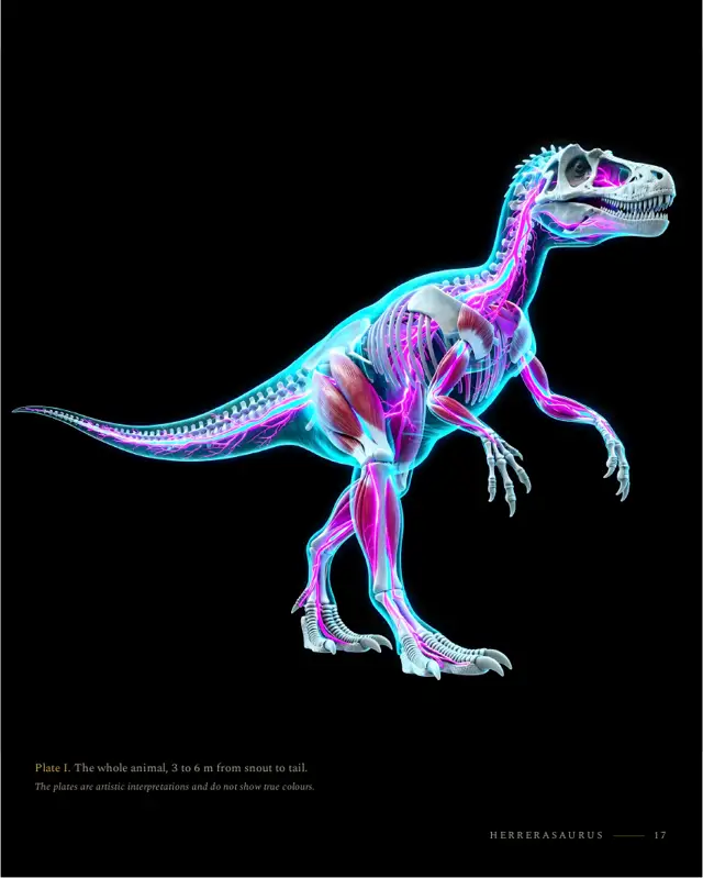 Herrerasaurus: right page