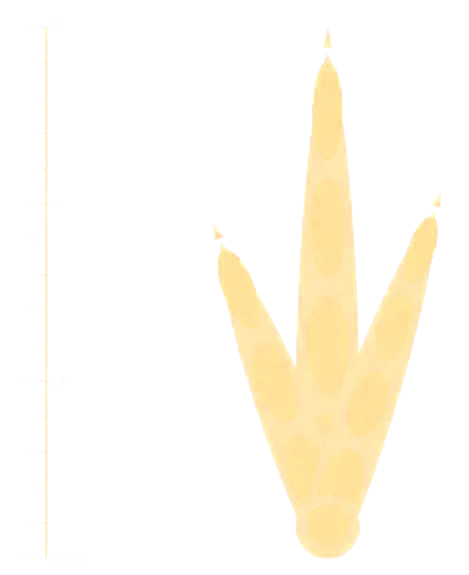 A three-toed Grallator footprint at actual size beside a ruler to 15 cm
