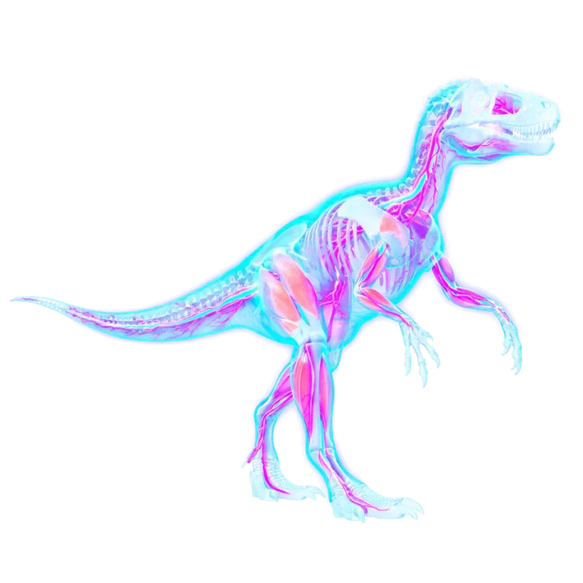 Herrerasaurus in pink and blue with a pale skull, walking on two legs