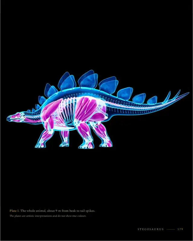 Stegosaurus: right page