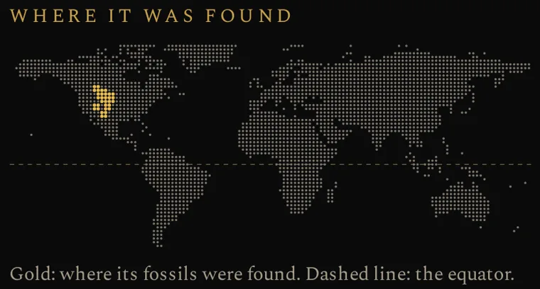 Where it was found panel for Tyrannosaurus, from the book